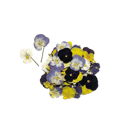 Kurutulmuş Yenilebilir Menekşe